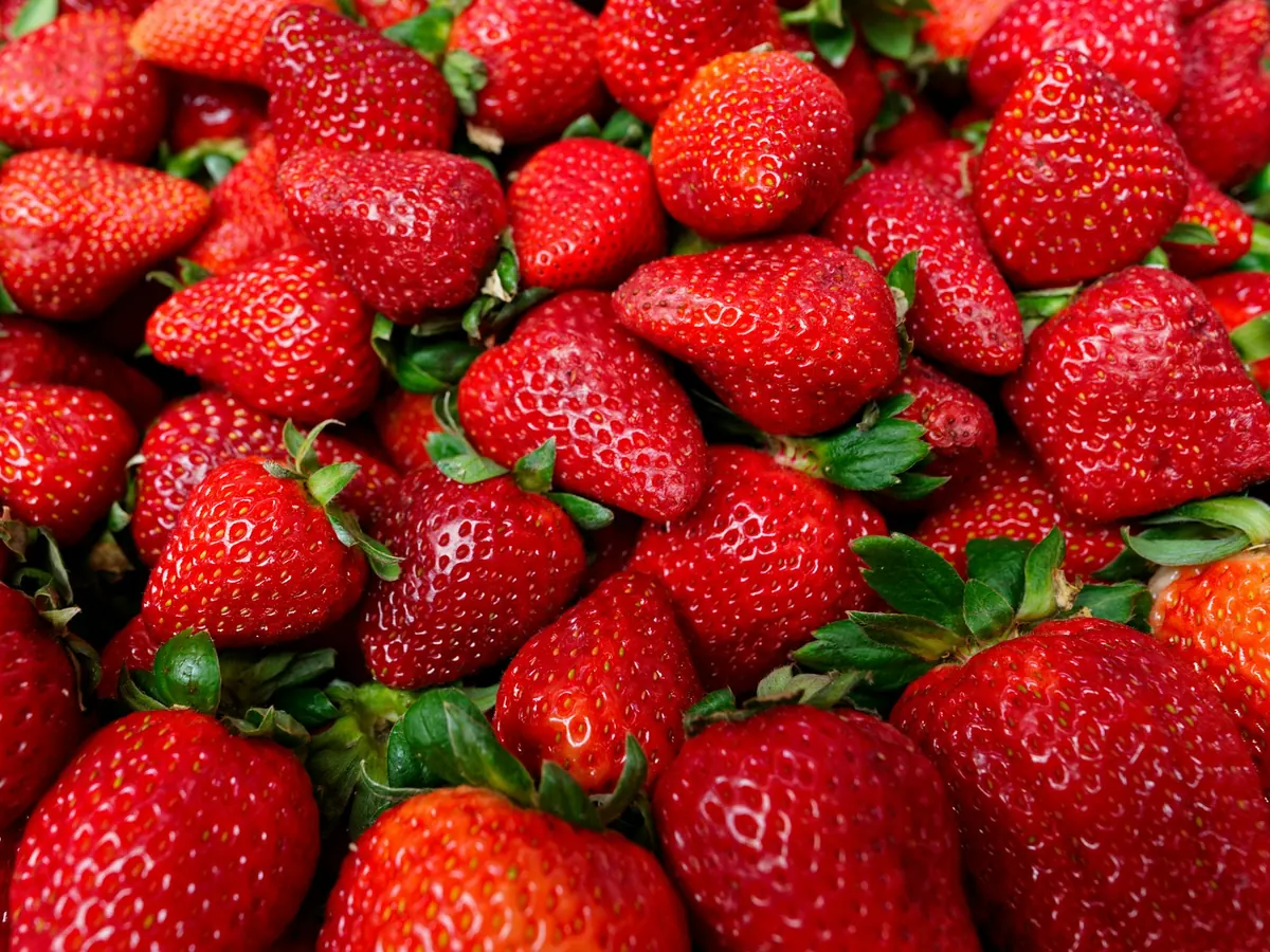 Fraises fraîches en vrac